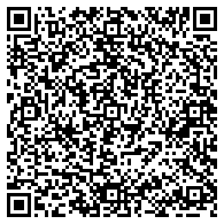 QR-код с контактной информацией организации Villador