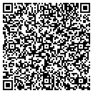 QR-код с контактной информацией организации ИП Швайгерт С.М.