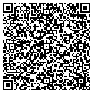 QR-код с контактной информацией организации АЛИЛУЕВА, ЧП