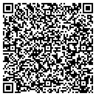 QR-код с контактной информацией организации № 141 ВИТА