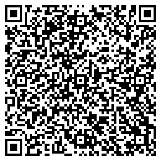 QR-код с контактной информацией организации Сумки & аксессуары
