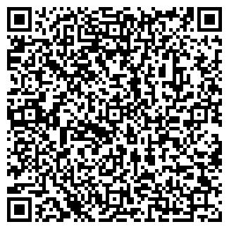 QR-код с контактной информацией организации ИП Ильиных Е.А.