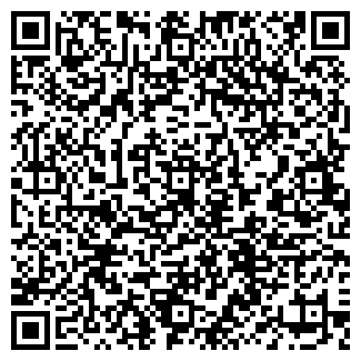 QR-код с контактной информацией организации Elisir