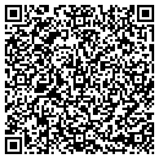 QR-код с контактной информацией организации Ромашка