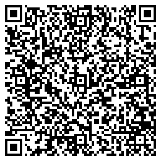 QR-код с контактной информацией организации Stefani