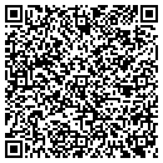 QR-код с контактной информацией организации БЛЕСК ЧП
