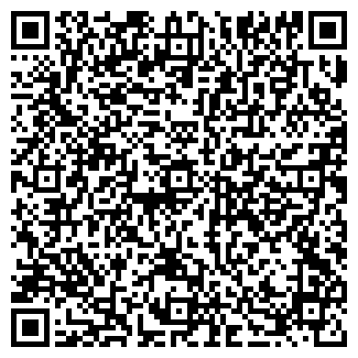 QR-код с контактной информацией организации Страна игрушек