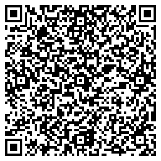 QR-код с контактной информацией организации ШКОЛА N 19