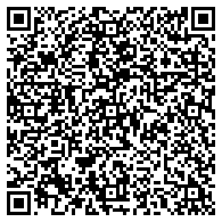 QR-код с контактной информацией организации ЛК ТК ЛИЗИНГ
