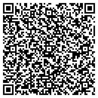 QR-код с контактной информацией организации Palatin