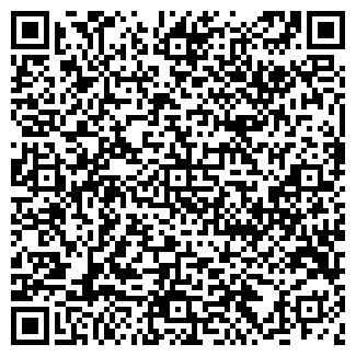 QR-код с контактной информацией организации Блиц