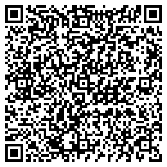 QR-код с контактной информацией организации Scarabeo