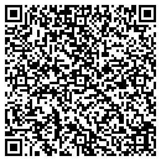 QR-код с контактной информацией организации ИП Руденко А.С.
