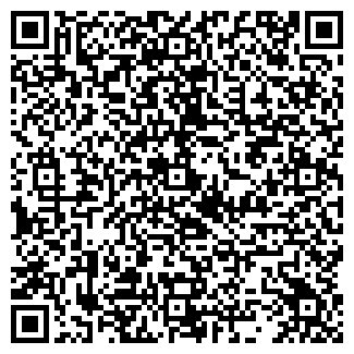 QR-код с контактной информацией организации Н. Б. Ф. ООО