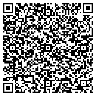 QR-код с контактной информацией организации Трубичино, киоск