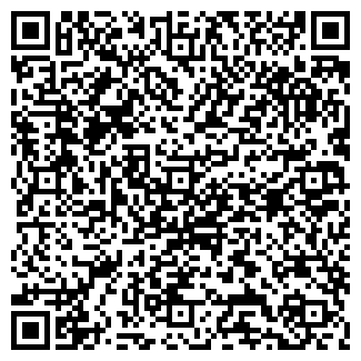 QR-код с контактной информацией организации Трубичино, киоск