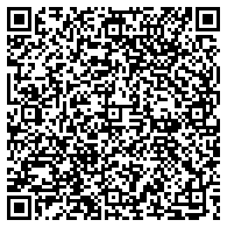 QR-код с контактной информацией организации Stefanel