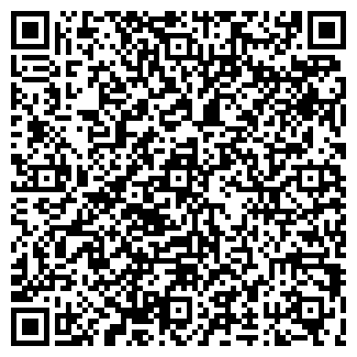 QR-код с контактной информацией организации Витязь, продуктовый магазин