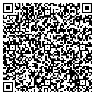QR-код с контактной информацией организации Минимаркет, ИП Алиев Х.М.