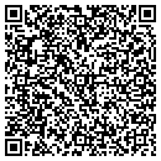 QR-код с контактной информацией организации Арина, продуктовый магазин