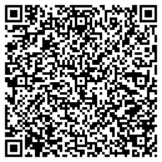 QR-код с контактной информацией организации Минимаркет, ИП Набиев А.А.