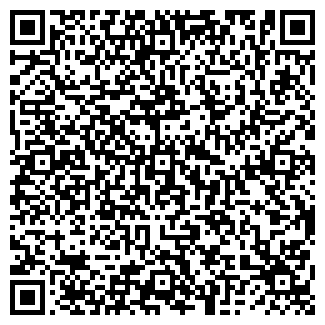 QR-код с контактной информацией организации Ромашка