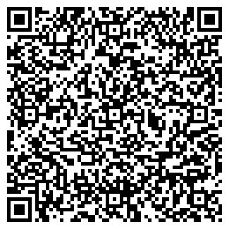 QR-код с контактной информацией организации Игрушка
