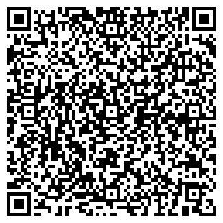 QR-код с контактной информацией организации Минимаркет, ИП Стариев А.А.