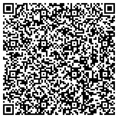QR-код с контактной информацией организации Домино VIP Сопровождение