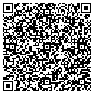 QR-код с контактной информацией организации Дэнис, продуктовый магазин