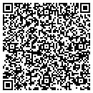 QR-код с контактной информацией организации Бакинский, продуктовый магазин