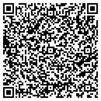 QR-код с контактной информацией организации ООО Чина-Шина
