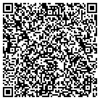 QR-код с контактной информацией организации ИП Агеева И.А.