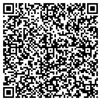 QR-код с контактной информацией организации Bajateam
