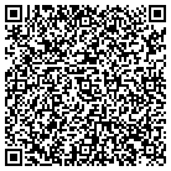 QR-код с контактной информацией организации ООО МОЛНИЯ