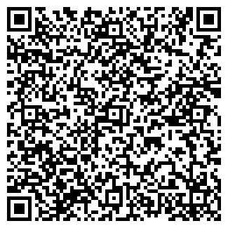 QR-код с контактной информацией организации Детский сад №123