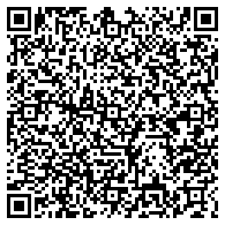 QR-код с контактной информацией организации Детский сад №114