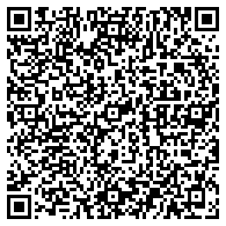 QR-код с контактной информацией организации Детский сад №161