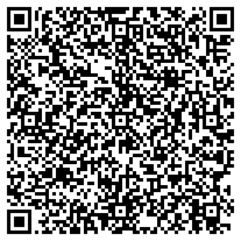 QR-код с контактной информацией организации Стефания