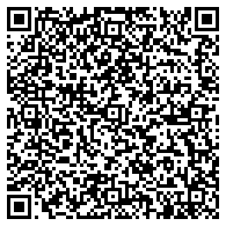 QR-код с контактной информацией организации Детский сад №114