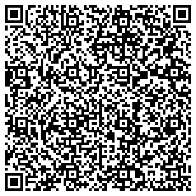 QR-код с контактной информацией организации Велнесс Мир, торговая компания, ИП Николаева М.В.