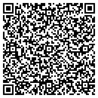 QR-код с контактной информацией организации Pinta pub