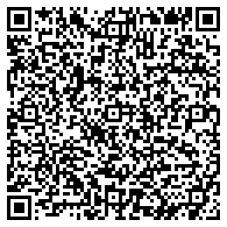 QR-код с контактной информацией организации ИП Рахмилевич Е.Л.