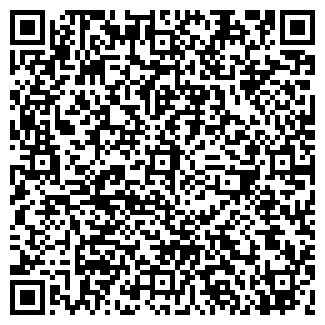 QR-код с контактной информацией организации ООО Ремис