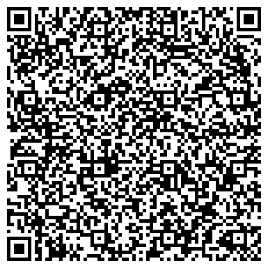 QR-код с контактной информацией организации Детский сад №87, Дельфинчик, центр развития ребенка