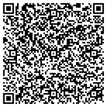 QR-код с контактной информацией организации «Efes Rus»