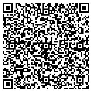 QR-код с контактной информацией организации ИП Леонова Н.В.