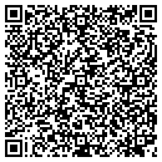 QR-код с контактной информацией организации БАГАЖ-НН