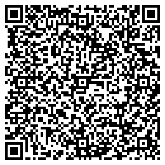 QR-код с контактной информацией организации ООО Ромикс