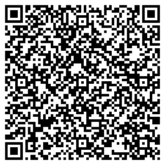 QR-код с контактной информацией организации Стройгаз, ОАО